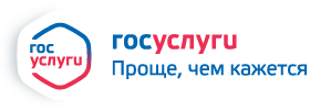 Единый портал госуслуг